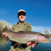 Big Rainbow Trout on the Bighorn River